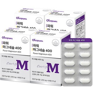 로니웰 파워 마그네슘 400, 4개, 60정