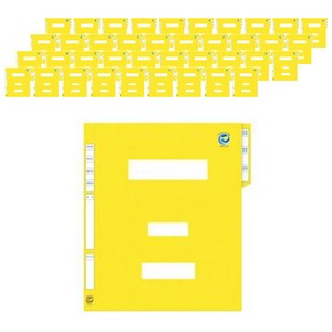 종이 친환경 정부문서화일, 노랑, 40개