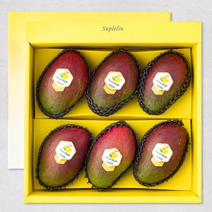 수플린 브라질산 애플망고 선물세트, 2.6kg(6개입), 1박스 골드박스 특가