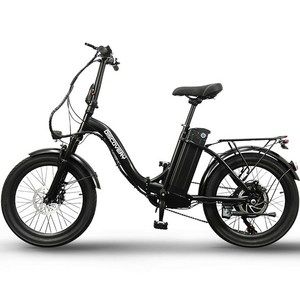 레이윙 디스커버리 엔트리 10.4A 36V 350W 배터리 접이식 전기자전거 50cm F21E, 스틸, 블랙