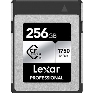 렉사 Professional CFexpress Type B SILVER 메모리카드, 256GB, 1개