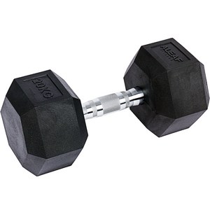 아리프 냄새 없는 PEV 헥사곤 덤벨, 20kg, 1개