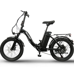 레이윙 디스커버리 엔트리 5.2A 36V 350W 배터리 접이식 전기자전거 50cm F21E, 스틸, 블랙