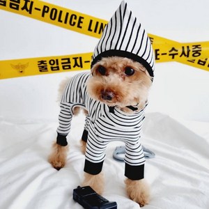 바이굄 강아지 꼬마도둑 올인원, 블랙, 1개