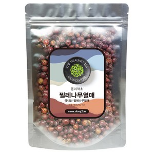 동이약초 국내산 찔레나무열매 영실자, 250g, 1개