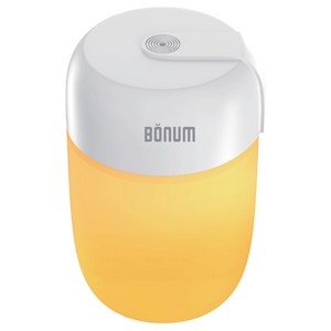 Bonum 코리아 USB타입 무드등 미니 가습기, HL-HU1000, 혼합색상
