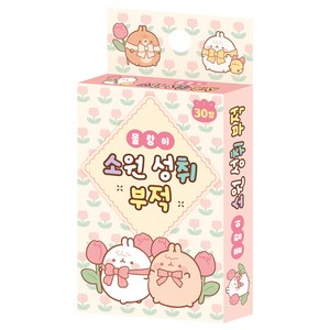 몰랑이 소원 성취 부적, 대원키즈
