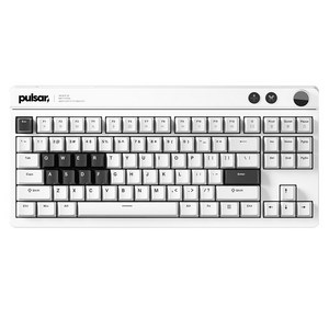 펄사 Xboard QS 기계식 텐키리스 키보드, 화이트, PWKXBQS01, 아이스 민트 V2축