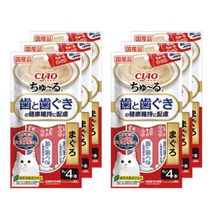 챠오츄르 고양이 짜먹는 간식 구강건강케어 4p, 참치, 32g, 6개