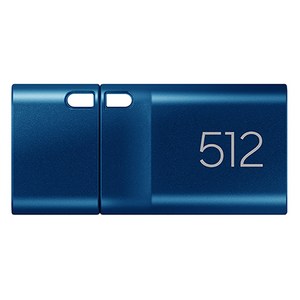 삼성전자 USB 3.1 C타입 메모리 MUF-512DA/APC, 512GB, 1개