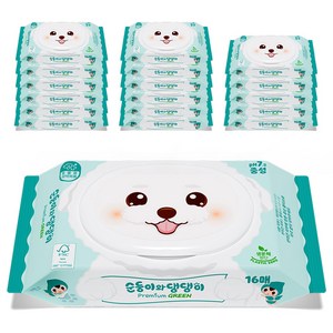 순둥이 반려동물 순둥이와 댕댕이 프리미엄 그린 중성 물티슈 휴대용, 16개입, 18개