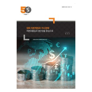 대외 자본계정과 거시경제 : 자본유출입과 생산성을 중심으로, 최우진, 한국개발연구원(KDI)
