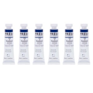신한화구 전문가 한국화 물감 313 감 6p, 20ml, 1색
