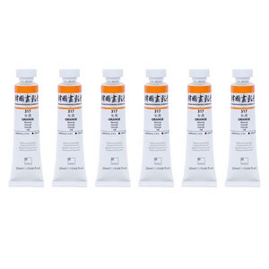 신한화구 전문가 한국화 물감 317 주황 6p, 20ml, 1색