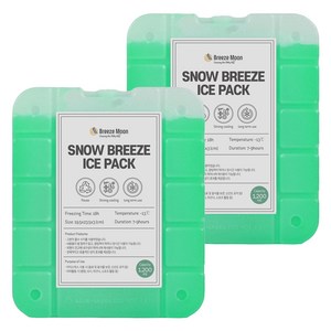 브리즈문 스노우 브리즈 빙점하 아이스팩 영하 13도 2p, 그린, 1200ml