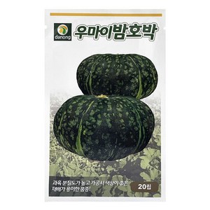 다농 우마이밤호박 씨앗 20립, 1개
