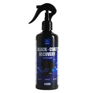 생활백서 블랙코트 환원제 색상 복원 스프레이 1개, 300ml, 1색