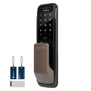 솔리티 3D 얼굴인식 무타공 푸시풀 손잡이 도어락 + WIFI 모듈 패키지, WP-500A, 고객직접설치