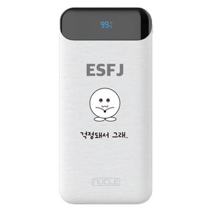 뉴클 MBTI PD 22.5w 10000mAh 보조배터리 ESFJ, 화이트, NCPB-10KPD-15-LGC