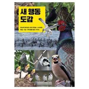 새 행동 도감, 보누스, POMP LAB