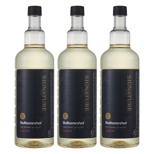 불스원 불스원샷 시그니처 연료첨가제 500ml, 가솔린/휘발유, 3개