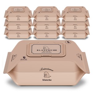 블랑슈 오리지널 제로 아기 물티슈 캡형, 55g, 100매, 10세트