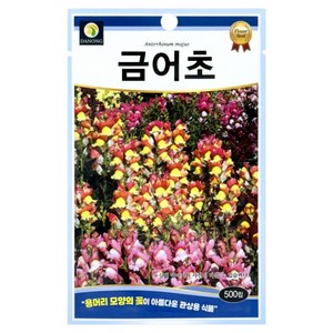 다농 금어초 씨앗 500p