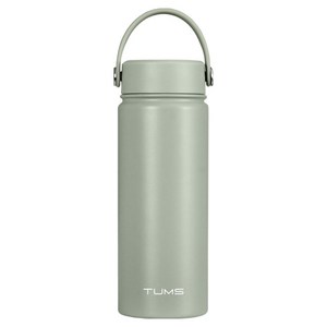 텀스 핸들 스윙 텀블러, 그린그레이, 540ml, 1개