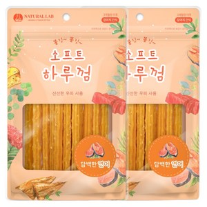 네츄럴랩 강아지 소프트 하루껌 간식, 연어 맛, 85g, 2개