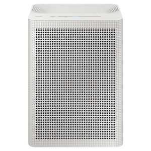 삼성전자 블루스카이 3100 공기청정기 33.1㎡, AP70F03102RVD, 그레이지 + 빅토리 그레이