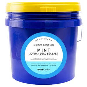 바스참 요르단 사해소금 민트, 10kg, 1개