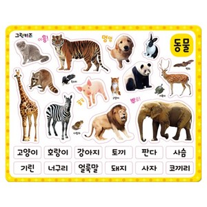 말랑말랑 EVA 자석 학습놀이, 동물, 그린키즈