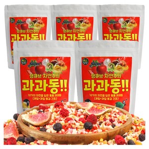 앵큐브 자연주의 10가지 과일 동결건조 과과동 간식, 30g, 5개