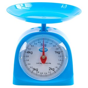 캐스비 네이처 교육용 앉은뱅이 저울 5kg, 1개