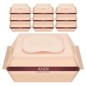 안디 저자극 도톰한 오리지널 터치 아기물티슈 캡형, 10개, 100매, 50g