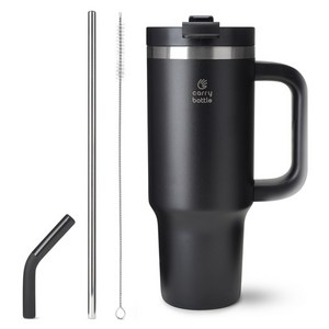 캐리보틀 써밋 텀블러, 블랙, 900ml, 1개