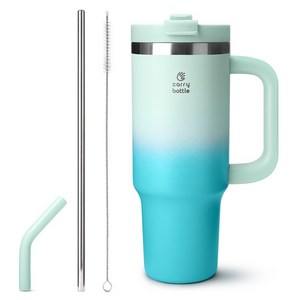 캐리보틀 써밋 텀블러, 아쿠아마린, 900ml, 1개