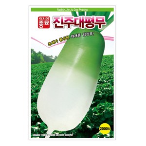 아시아종묘 씨앗 진주대평무 2000p, 1개