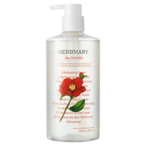 허브마리 1848 제주온천수 바디워시 동백, 800ml, 1개