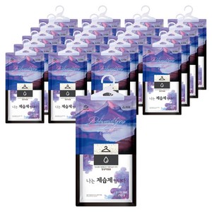 홈트너 나는 제습제 입니다 옷장용 본품, 250g, 20개