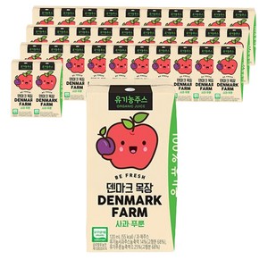 덴마크 목장 유기농 주스 사과 푸룬, 120ml, 32개