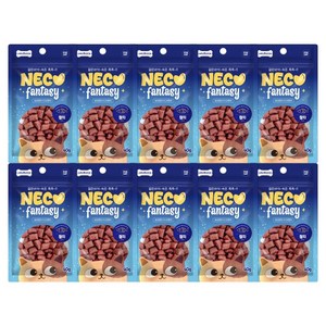 네코판타지 고양이 크런치 간식, 참치, 40g, 10개