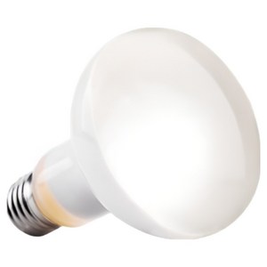 페이토 데이라이트 UVA 히팅램프 레인포레스트 아열대형 75W, 1개