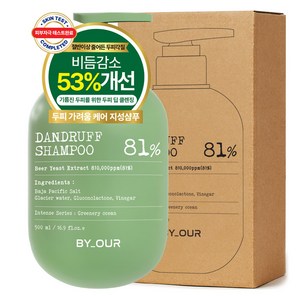 바이아우어 바하솔트 댄드러프 샴푸 그리너리 오션, 500ml, 1개