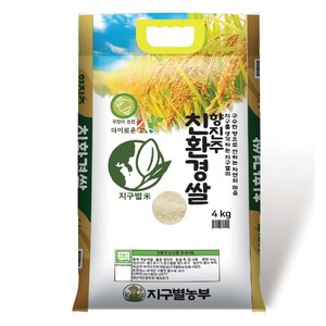 지구별농부 무농약 향진주쌀 백미 상등급, 4kg, 1개