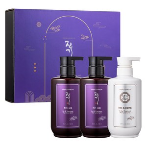 댕기머리 진기 샴푸 500ml x 2p + 트리트먼트 500ml 세트, 1세트