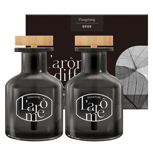 라홈 차량용 디퓨저 150ml, 일랑일랑, 2개