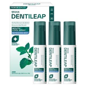 2080 덴티리프 마우스 쿨 구강스프레이 3p, 30ml, 1개