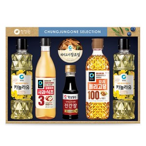 청정원 스페셜 10호 세트 + 쇼핑백, 1세트