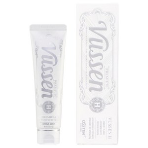 오스템파마 뷰센 H 프리미엄 치약, 120g, 1개